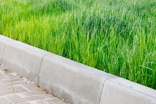 Cost of Concrete Curb Repair in Independence