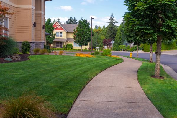 Cost of Sidewalk Patching in Independence