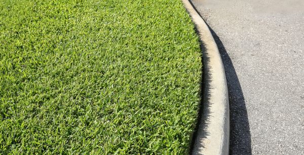 Driveway Curb Repair in Independence
